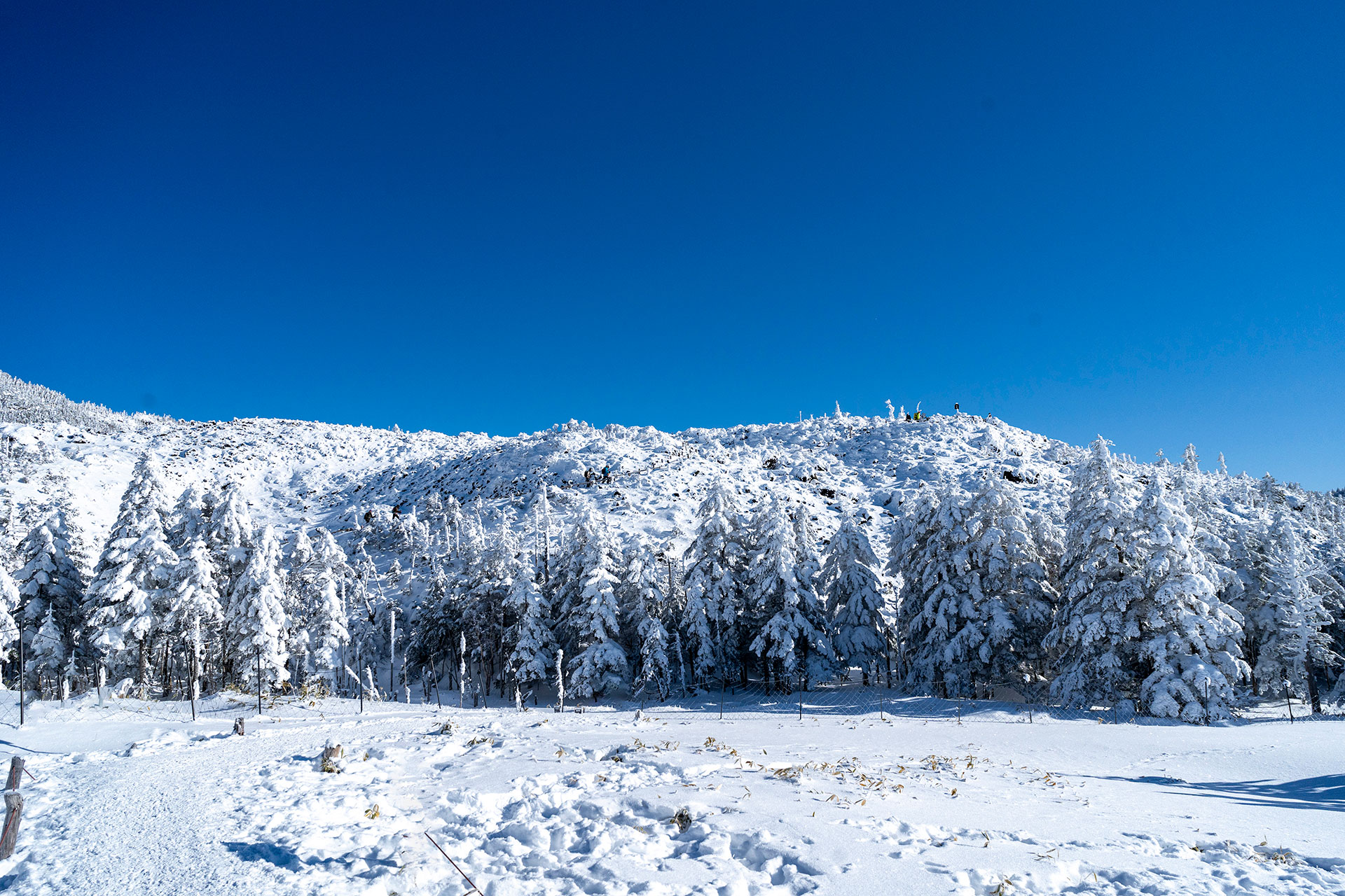 冬の絶景。樹氷に包まれた山頂からの眺めは別世界。自然が作り出す真っ白なアート。
