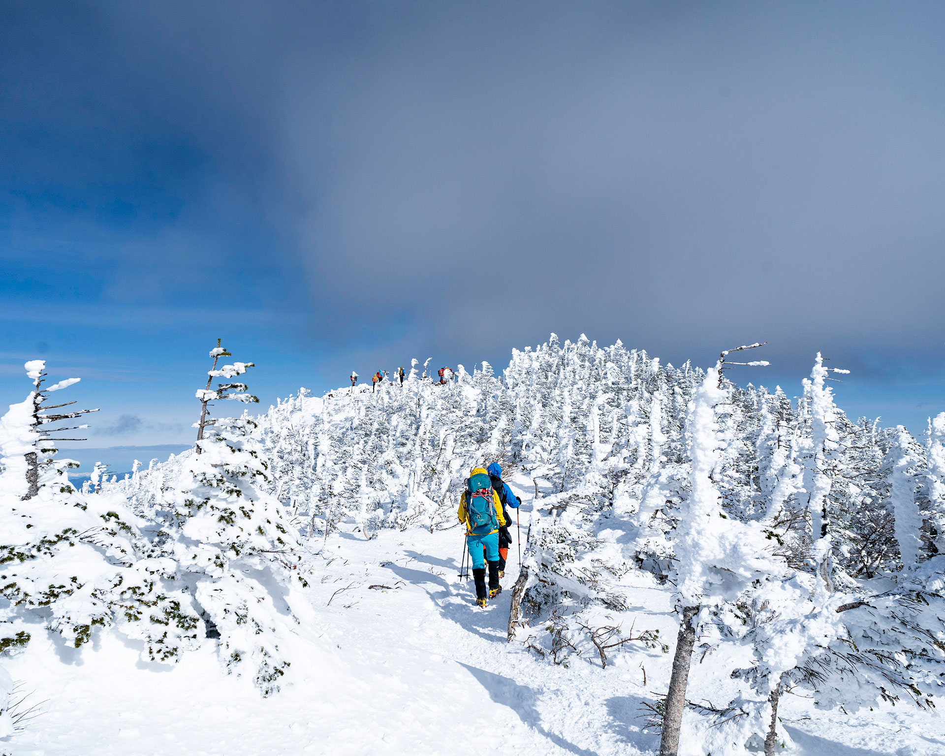 天空の散歩道。樹氷の森を抜けて頂上へ。この景色のために登る価値あり。