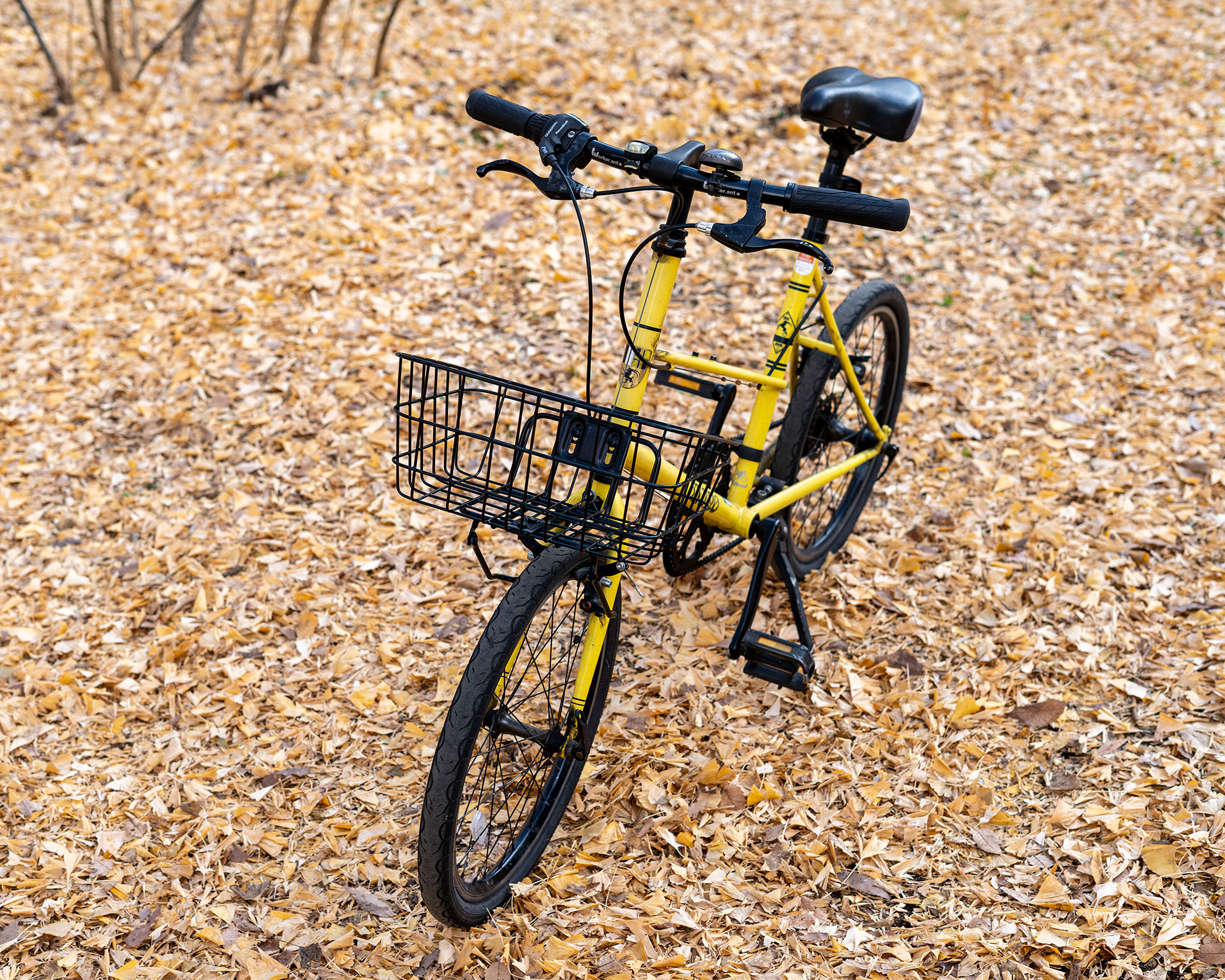 愛らしい佇まいのBRUNOミキストにデザイン性と実用性を兼ね備えたシンプルな黒のバスケットを取り付けた。