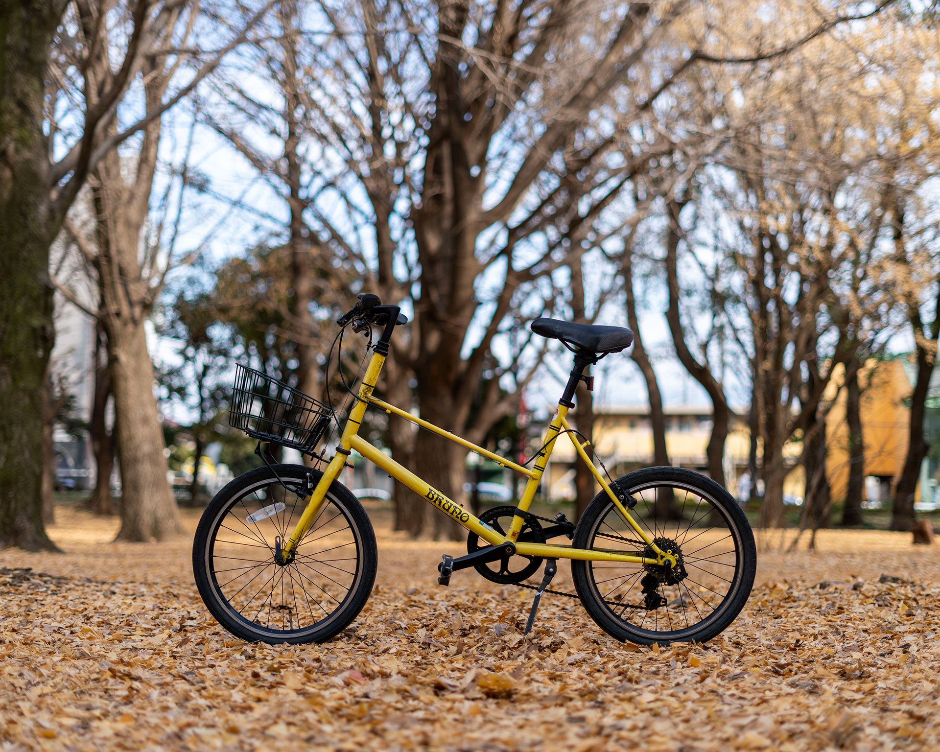 木漏れ日降り注ぐ公園で佇む前カゴを取り付けたBRUNOミキスト。イエローフレームと黒バスケットの組み合わせが絵になる風景