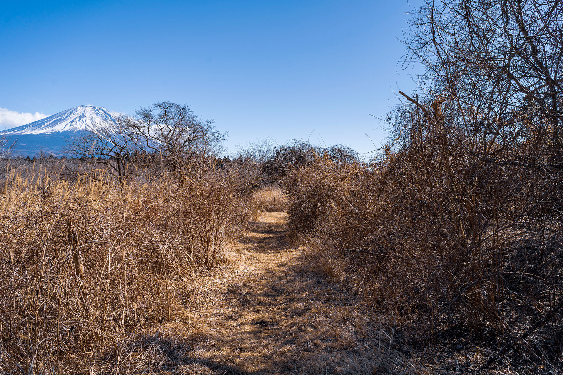 富士山を望む冬の東海自然歩道。A沢貯水池付近。