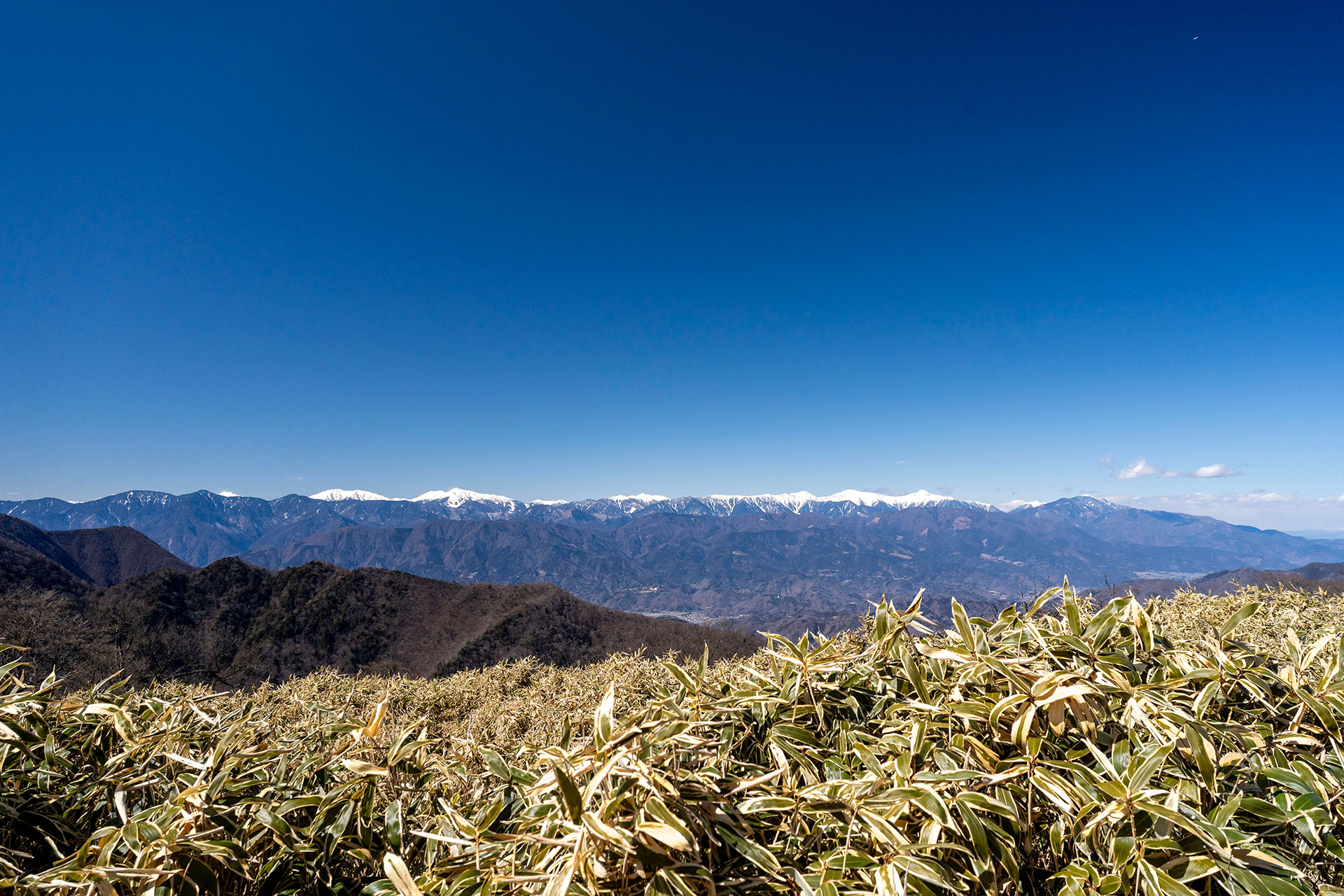 竜ヶ岳山頂から笹原の向こうに広がる雪をまとった南アルプスの雄大な眺め