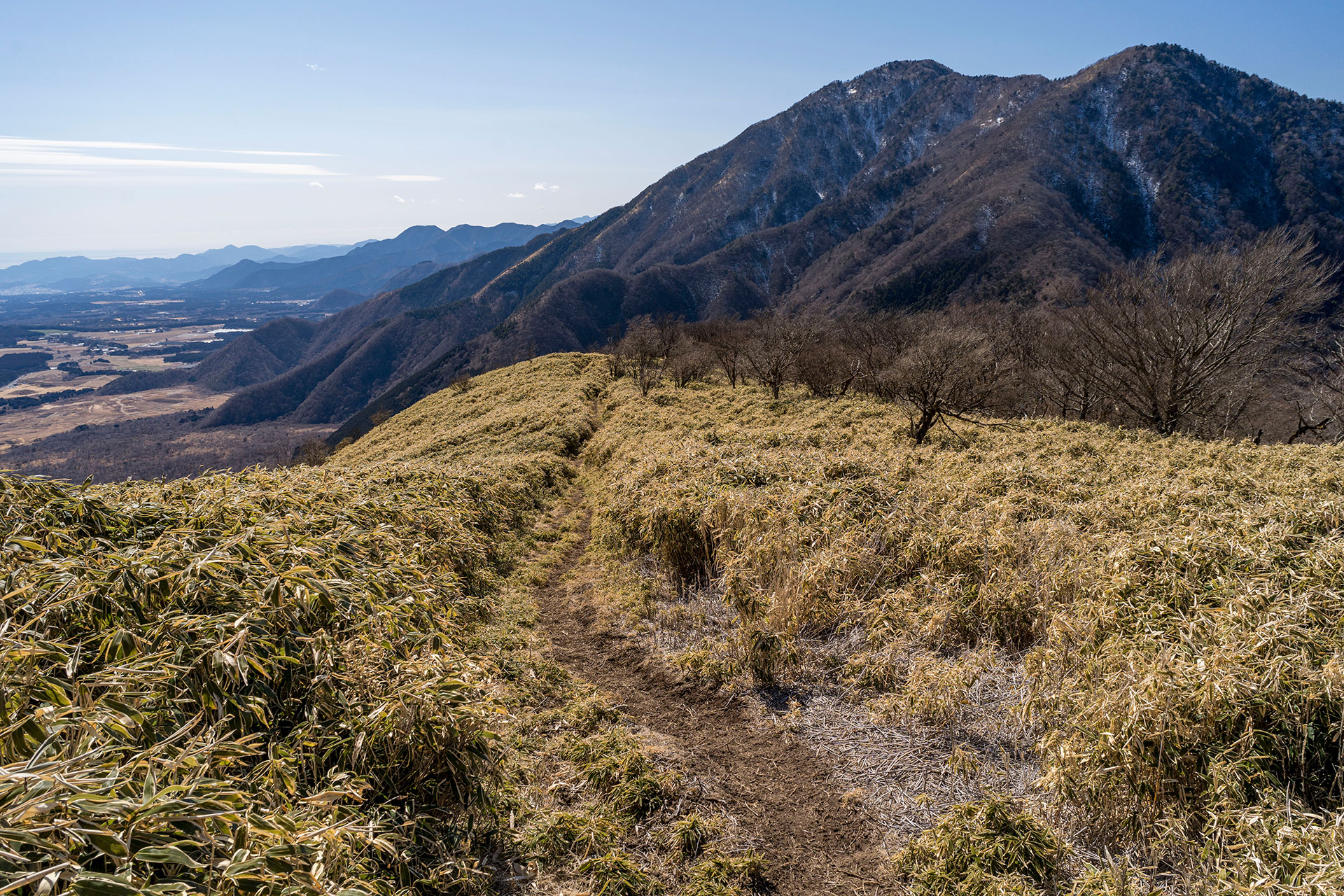 竜ヶ岳山頂から端足峠への下山道。黄金色のササ原を縫うように続く山道と遠くに連なる山々