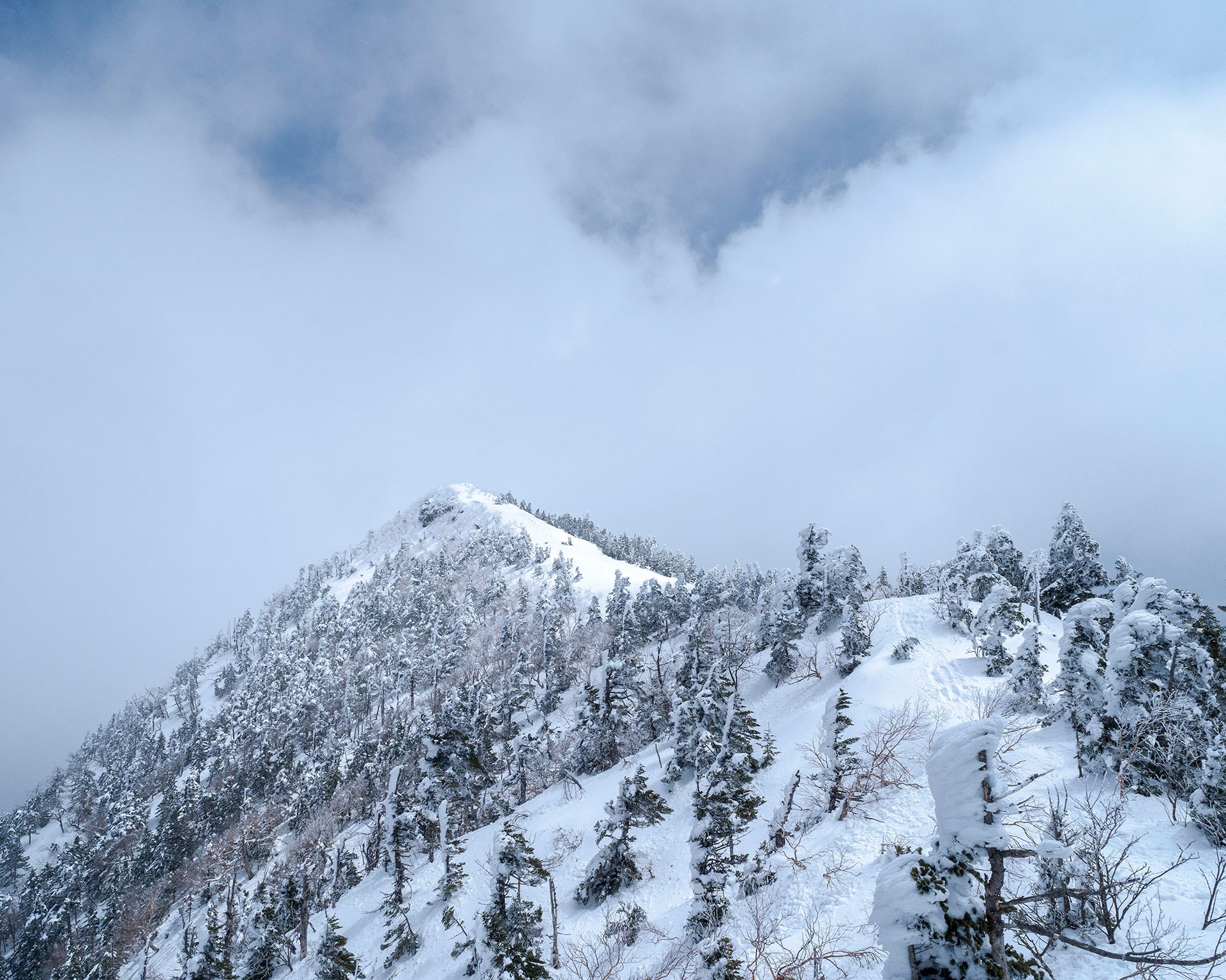 四阿山頂上の雪に覆われた山々の絶景、雲海から顔を出す雄大な山岳パノラマ