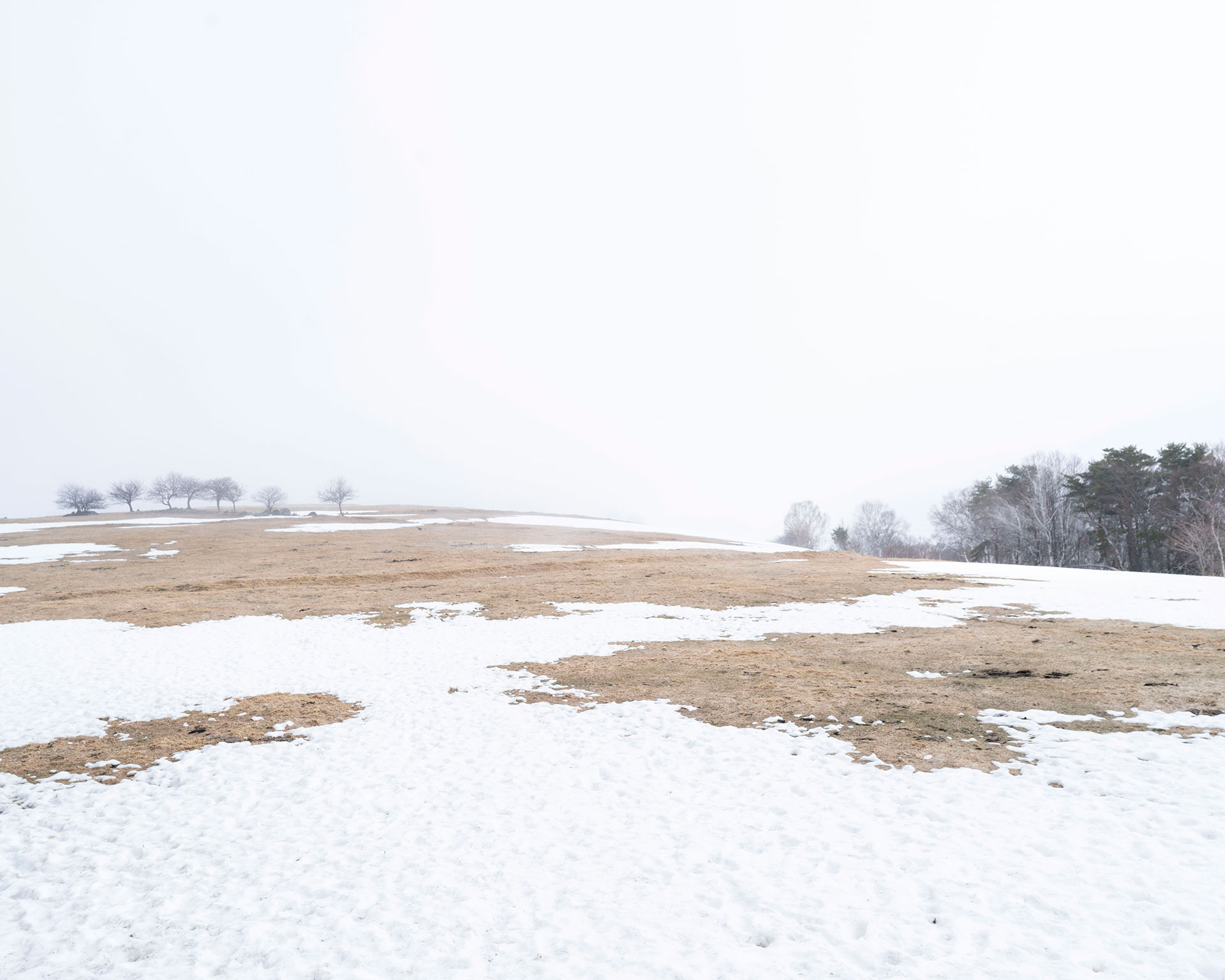 四阿山登山口の雪解け始めた早春の風景、残雪と土の境界線が広がる高原エリア