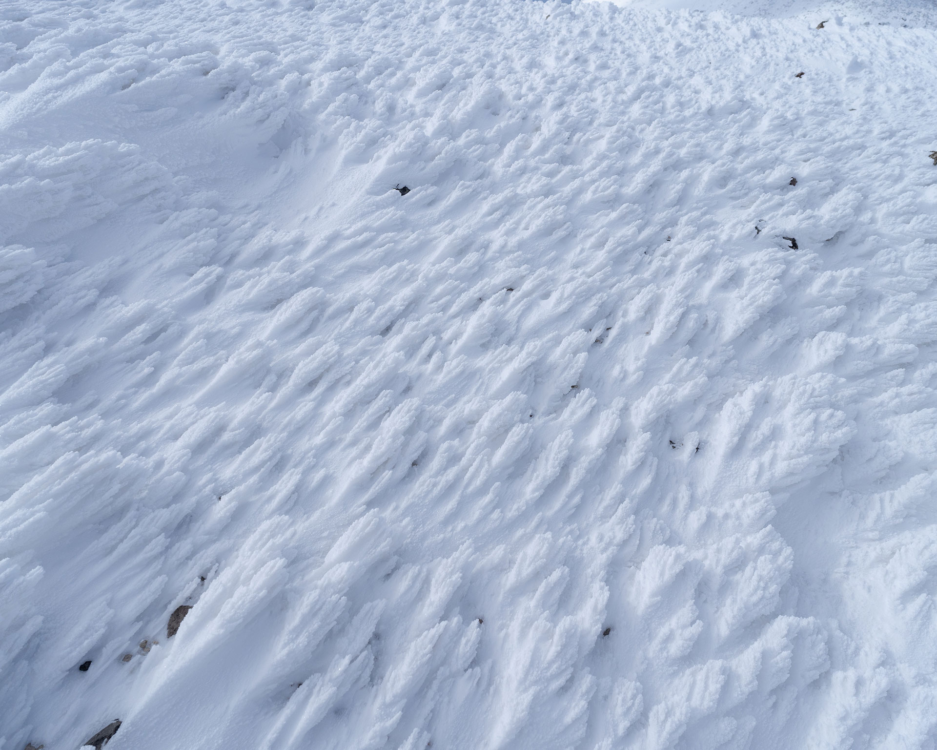 風で波打つ雪面の模様、サスツルギの造形美