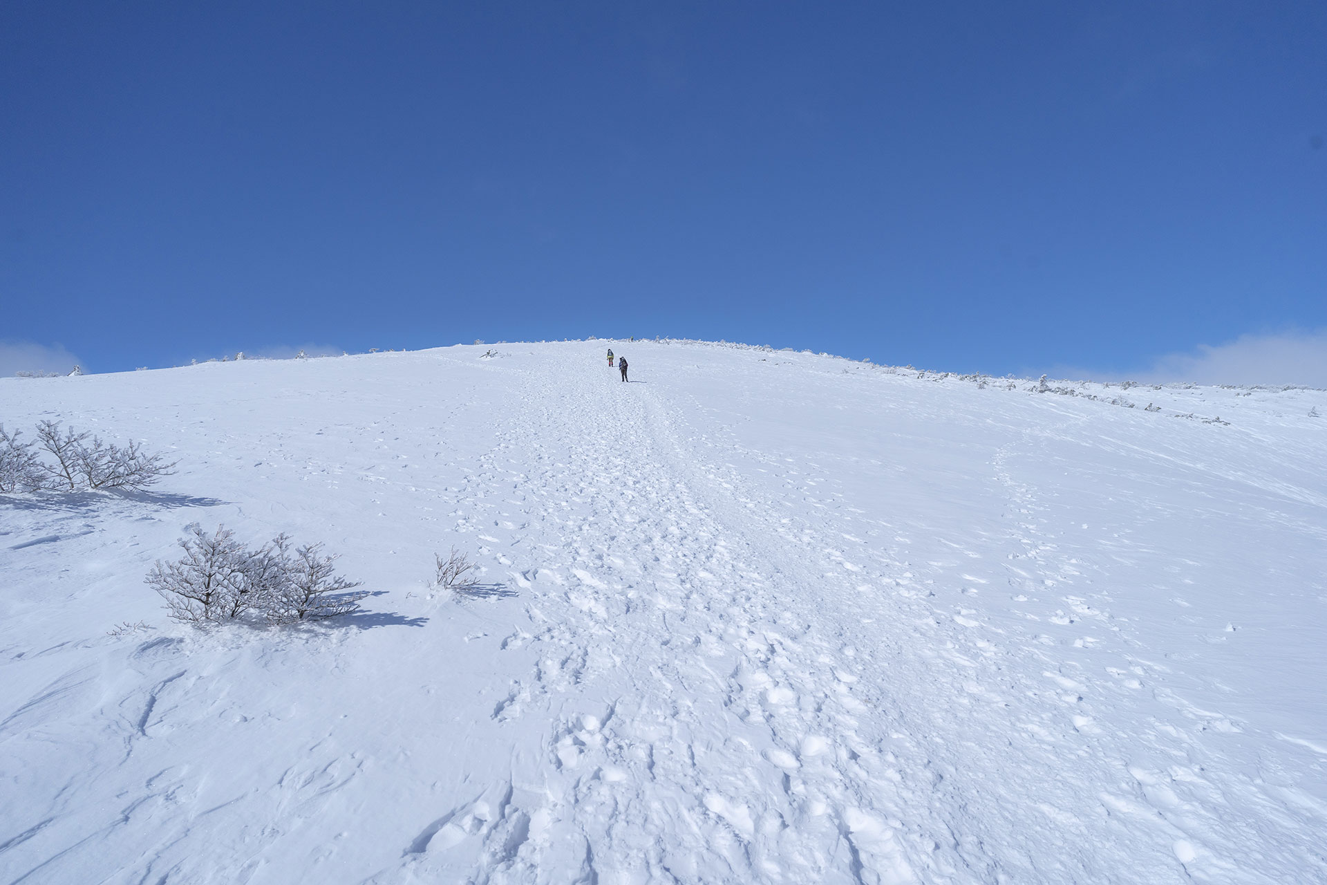 広大な雪原の稜線を歩く登山者たち、遠くに山並み