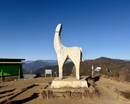 14年ぶりの陣馬山から高尾山ハイキング