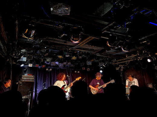 sugar plant @ CLUB Que Shimokitazawa
