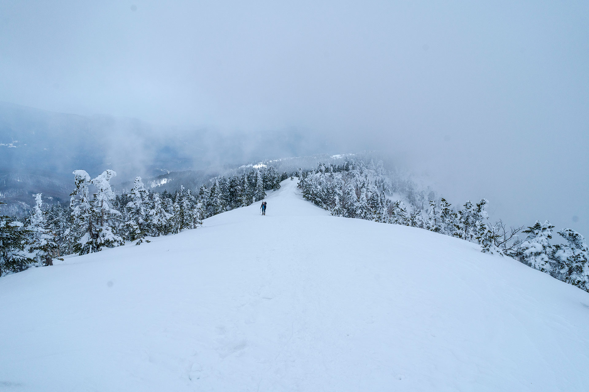 四阿山稜線の雪道を歩く登山者、雲海に浮かぶ神秘的な冬山トレッキング