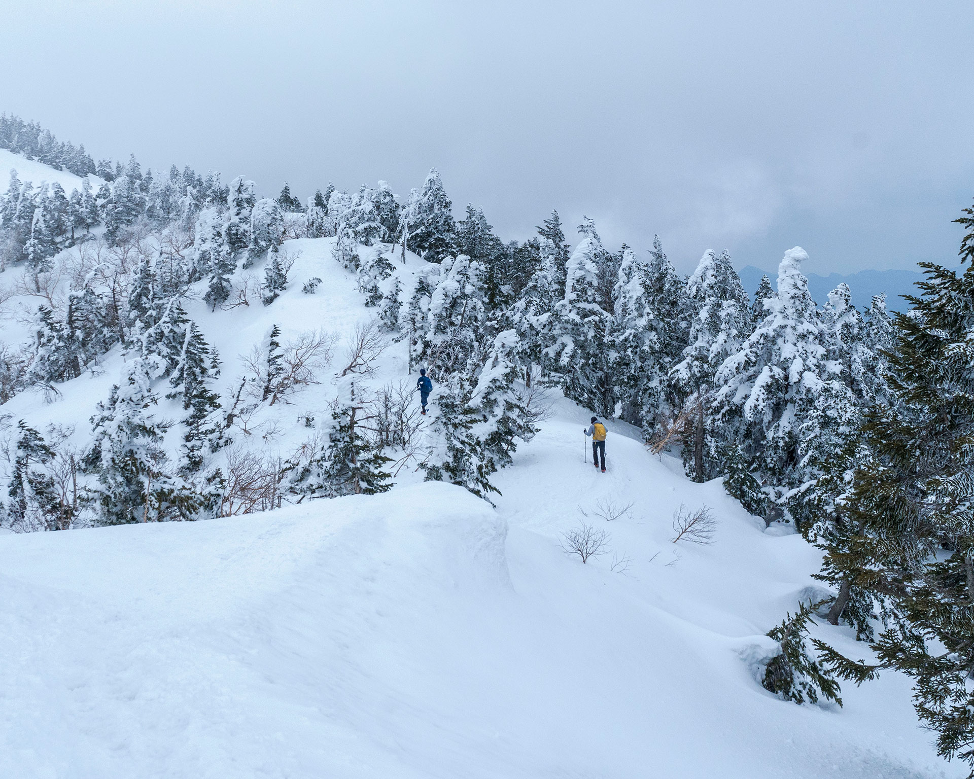 四阿山の雪の稜線を歩く2人の登山者、樹氷の森を抜ける冬の登山道