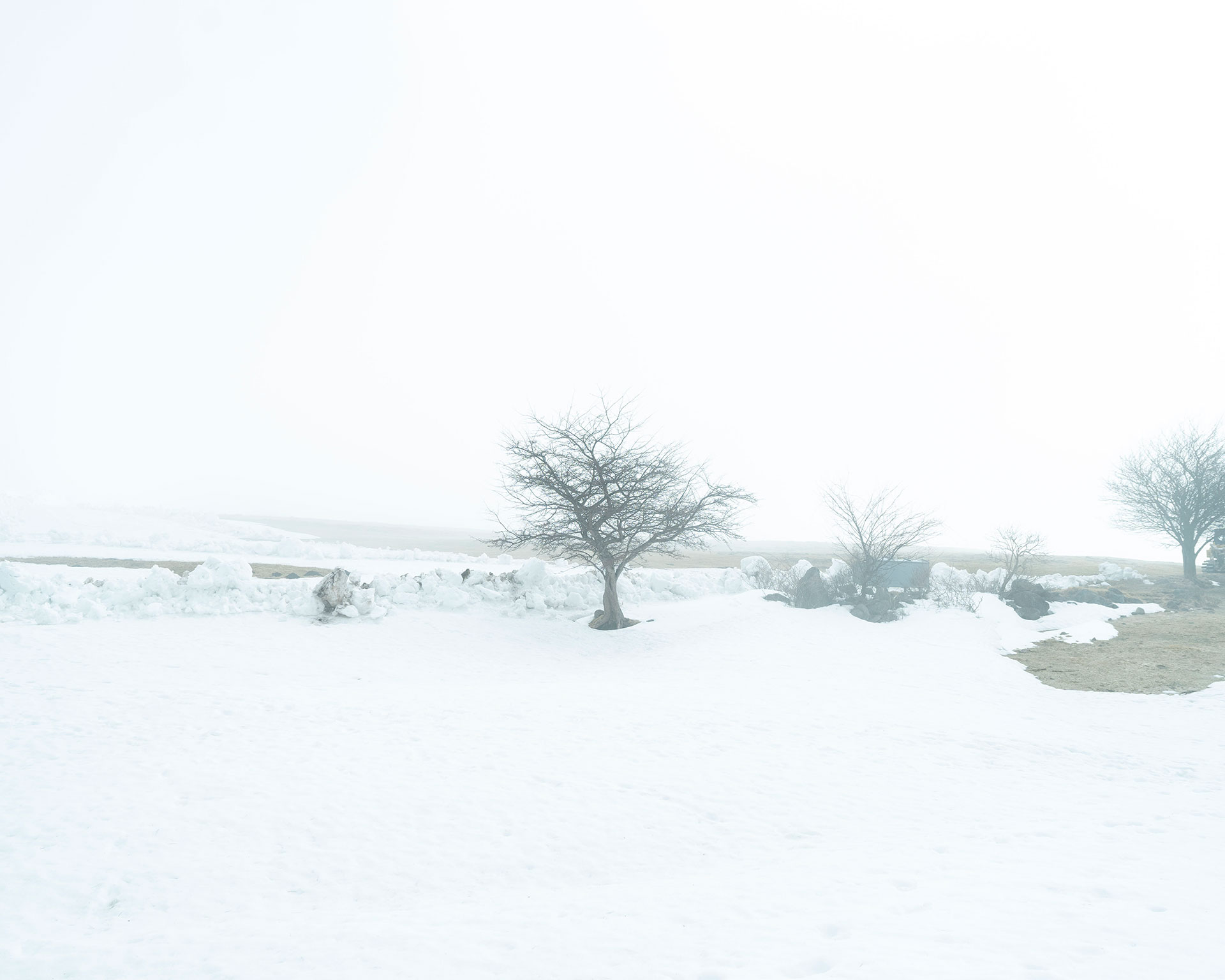 四阿山中腹の雪原と霧の中に佇む孤独な樹木、幻想的な冬山の風景